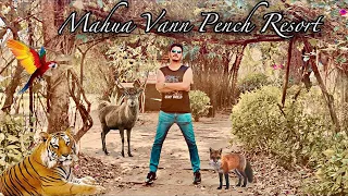 🛖 “Beyond Stay Mahua Vann Resort | Pench | detailed video |