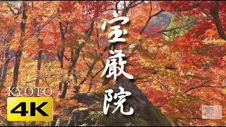 [4K] 宝厳院　京都の紅葉　京都の庭園　Hogon-in Temple and Autumn Leaves [4K] The Gardens of Kyoto Japan