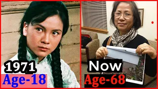 The Big Boss (1971) Cast : Then & Now In [2023] How They Changed