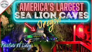 Exploring Sea Lion Caves Oregon | Oregon Coast Road Trip | Florence Oregon