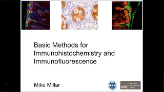 Basic Methods for Immunohistochemistry and Immunofurescence