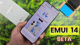EMUI 14 - How To Join BETA!