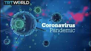 Coronavirus pandemic and WHO - Focal Point