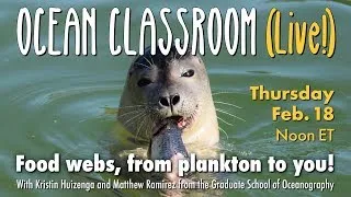 Food webs, from plankton to you! — GSO Ocean Classroom (Live!)