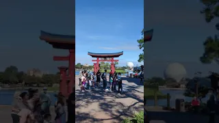 Matsuriza Japanese Taiko Drum Performance at Epcot #shorts