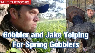 Gobbler and Jake Yelping for Spring Gobblers