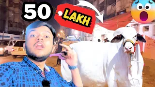 50 lakh Ki Ghulabhi Bachri 😳🔥 | Mandi Vlogs | Vlogs With Azeem