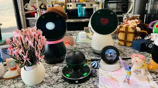 Jibo & Friends - Celebrate Moms! 💐