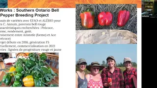 Peppers! Webinar / Séminaire en Ligne