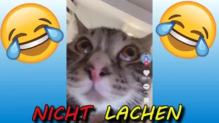 VERSUCHE NICHT ZU LACHEN !!! 🤣🤣🤣 #27