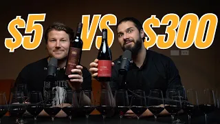 $5 vs $300 - Master Sommelier Shiraz BLIND tasting 😎🍷