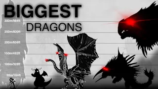 Biggest Dragons Size Comparison in 1 minutes | Episode 1