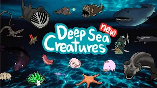 Deep sea animals 2 | What kind of fish lives under the deep sea? | Kids Draw