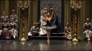 Irina Kolesnikova | Fouette | Swan Lake