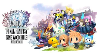 One Hour Game Music: World Of Final Fantasy - Nine Wood Hills for 1 Hour