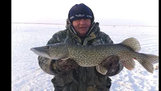 первая зимняя рыбалка на щуку в 2021 году