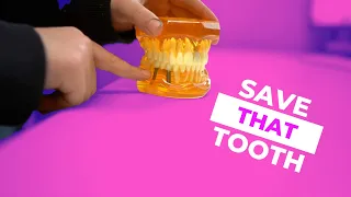 How to save a tooth that's been knocked out