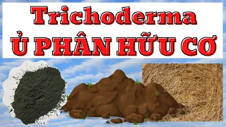 Ủ phân hữu cơ tại nhà | Ủ phân hữu cơ bằng nấm Trichoderma | Các phương pháp ủ phân hữu cơ