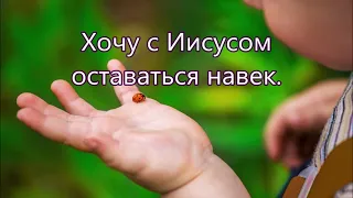 Не бойся коровка- детская песня.