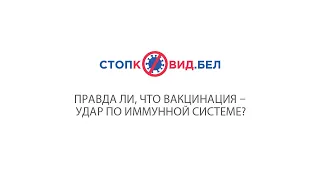 Правда ли, что вакцинация – удар по иммунной системе?