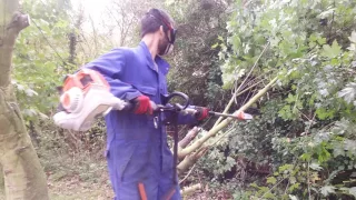 Stihl KM94RC multitool system with chainsaw lopper attachment review and demonstration.