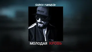 Шах Юнусов - Молодая кровь #молодая #Шах #молодаякровь #shakhyunusov