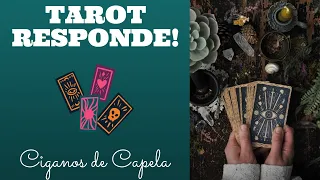 🔴TAROT RESPONDE! FAÇA SUA PERGUNTA E TENHA SUA RESPOSTA!