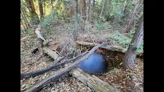 An Unexpectedly Rich Mine Exploring Area