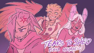 Tears to Shed [BNHA au animatic]