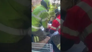 Moment fox rescued by firefighters after getting head stuck in hole #shorts 🦊