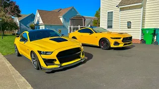 How Different Is an S550 Mustang Compared to a S650 Mustang!?