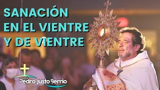 Sanación en el vientre y de vientre   Padre Pedro Justo Berrío