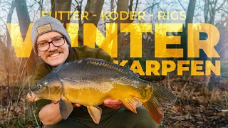 PROJEKT WINTER-KARPFEN - Futter, Köder, Rigs | TUTORIAL