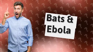 Do bats carry Ebola?