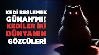 Kediler iki dünyanın gözcüleri "Peygamberimizi Yılandan Kurtaran kedi" Kedi beslemek Günah'mı!