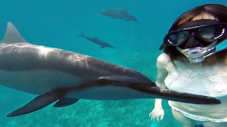 SWIMMING WITH WILD DOLPHINS & A GOPRO | Hawaii Vlog