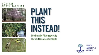 Plant This Instead! Webinar - Landscaping with Native North Carolina Plants