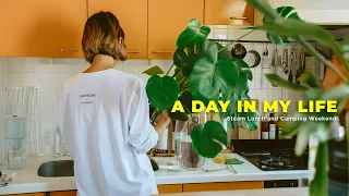 Tokyo Vlog | Days in My Life with Plants | Easy Baking