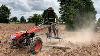 Drought destroys thousands of hectares of farmland in northwestern Cambodia