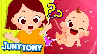 How Is a Baby Born? | Baby Born Song | New Baby Song | My Body Songs for Kids | JunyTony