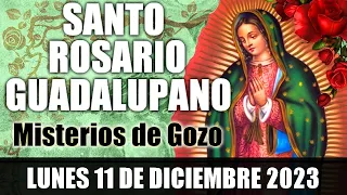 EL SANTO ROSARIO DE HOY LUNES 11 DE DICIEMBRE 2023 🌷MISTERIOS GOZOSOS 🙏 ROSARIOS GUADALUPANOS