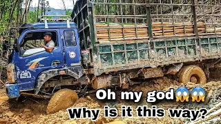 A truck carrying acacia wood crossed a muddy road, a truck carrying wood