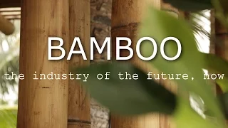 BAMBOO - The industry of the future, now