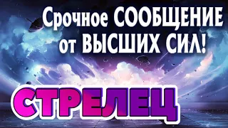 СТРЕЛЕЦ 🧚‍♂️🧚‍♂️🧚‍♂️СРОЧНОЕ СООБЩЕНИЕ от ВЫСШИХ СИЛ Таро Прогноз гадание онлайн