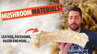 Mycelium Technology: What Materials Will Mushrooms Replace?