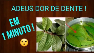 Como PARAR | ACABAR com a DOR DE DENTE em 1 MINUTO ! Rápido e eficaz !