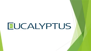 Eucalyptus