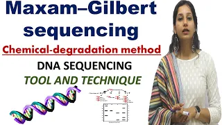 Maxam–Gilbert sequencing I Chemical degradation method I DNA Sequencing I Tools & Techniques