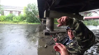 В ПРОЛИВНОЙ ДОЖДЬ НА РЫБАЛКУ НА РЕКЕ ТАГИЛ! ЛЕТНЕЕ СЕРЕБРО! УКЛЕЙКА НА ПОПЛАВОЧНУЮ УДОЧКУ!