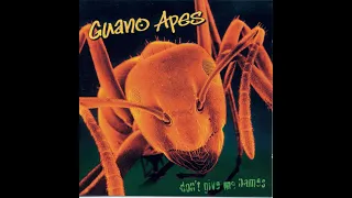 Guano Apes - Living In A Lie (Unplugged Version)